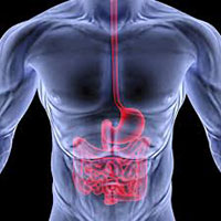 Treatment for liver
